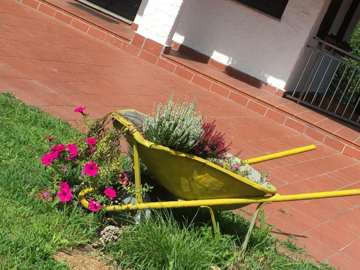Progetto Vacanze Invorio Inferiore Exterior foto